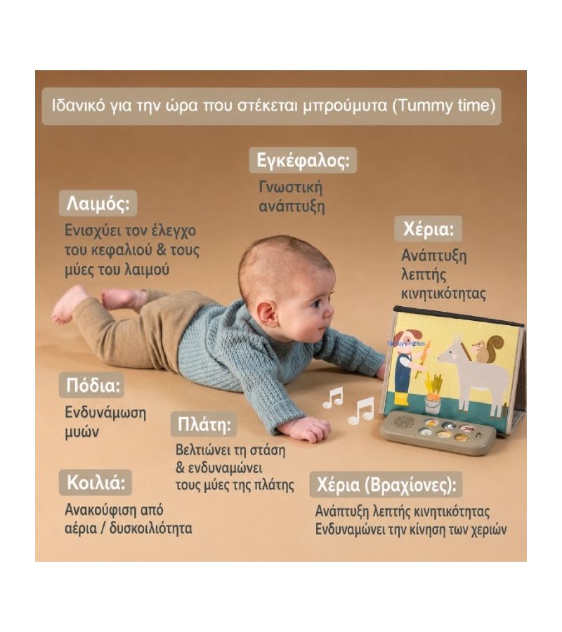 TAF TOYS Farm Musical Tummy Time Book T-13935