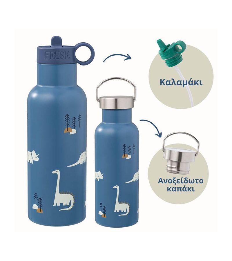 Θερμός από ανοξείδωτο ατσάλι FRESK 500ml με διπλό πώμα Dino FR-FD320-10