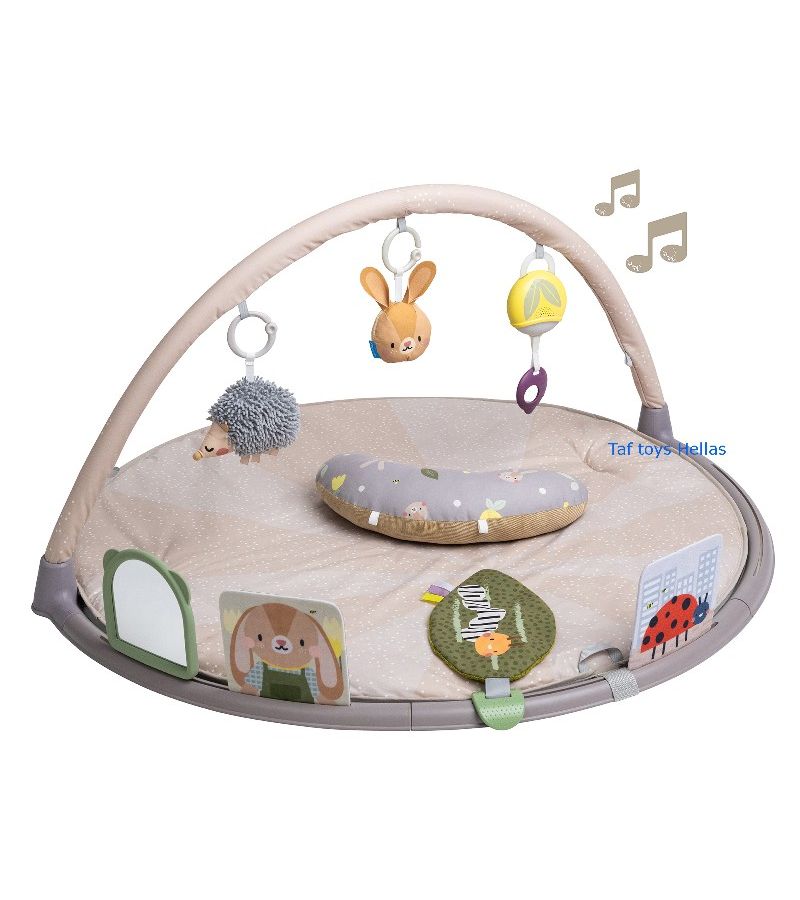 Γυμναστήριο δραστηριοτήτων TAF TOYS Tummy-Time 13395