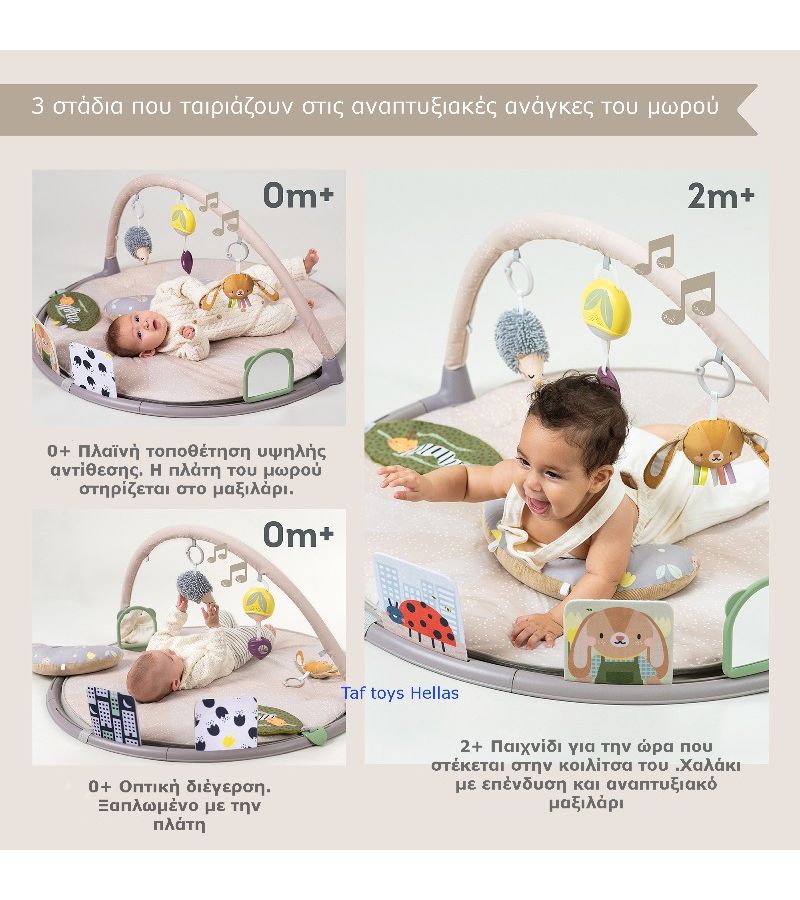 Γυμναστήριο δραστηριοτήτων TAF TOYS Tummy-Time 13395