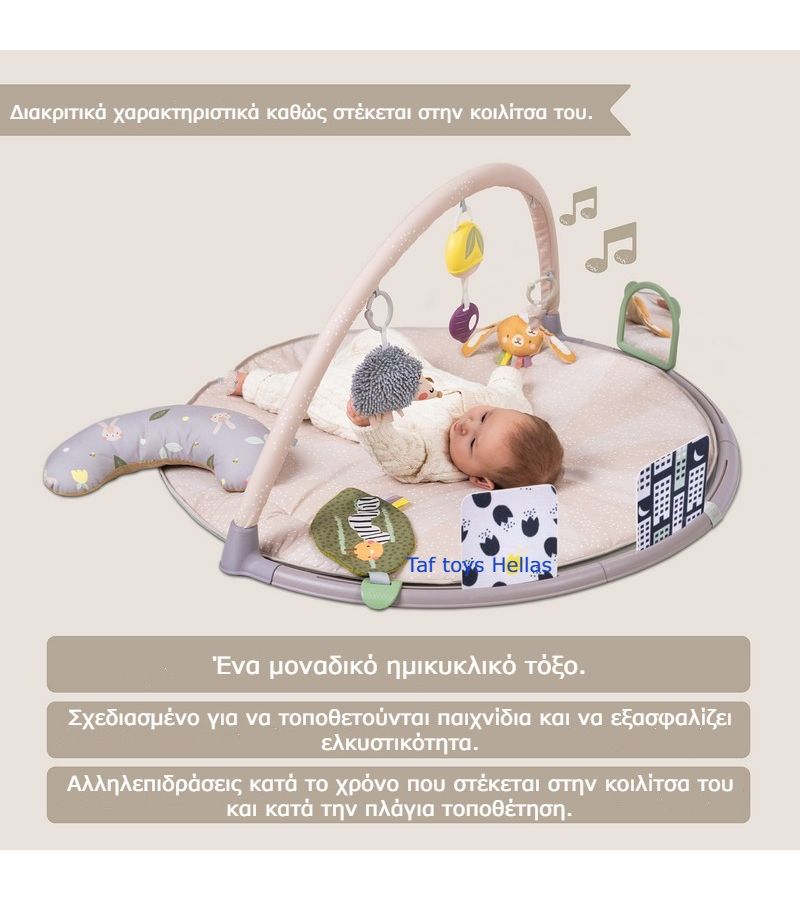 Γυμναστήριο δραστηριοτήτων TAF TOYS Tummy-Time 13395