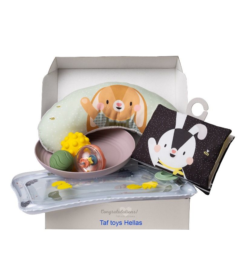 Tummy Time Essential Kit TAF TOYS 13435