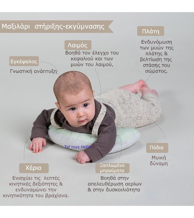 Tummy Time Essential Kit TAF TOYS 13435
