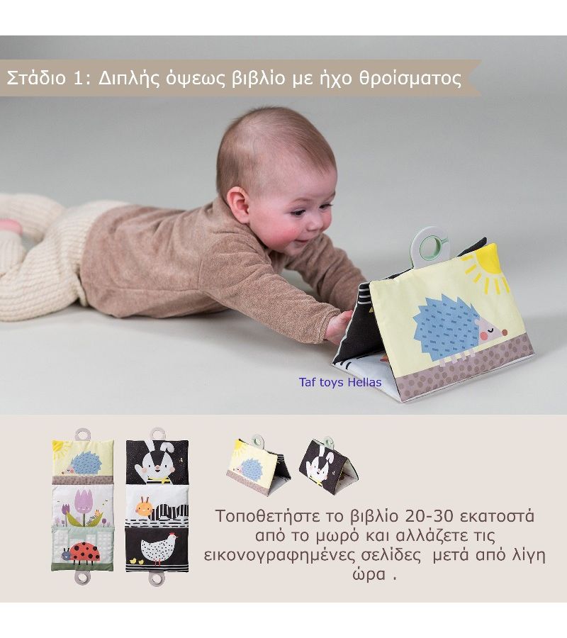 Tummy Time Essential Kit TAF TOYS 13435