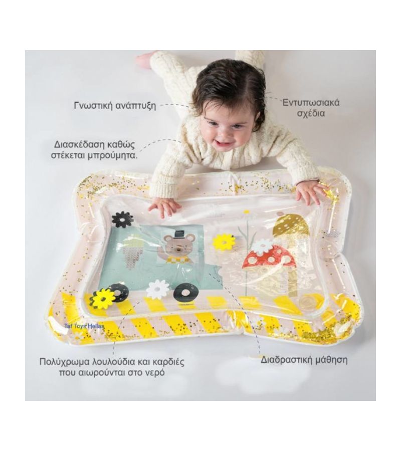 Χαλάκι νερού Ice Cream Bear TAF TOYS  T-13765